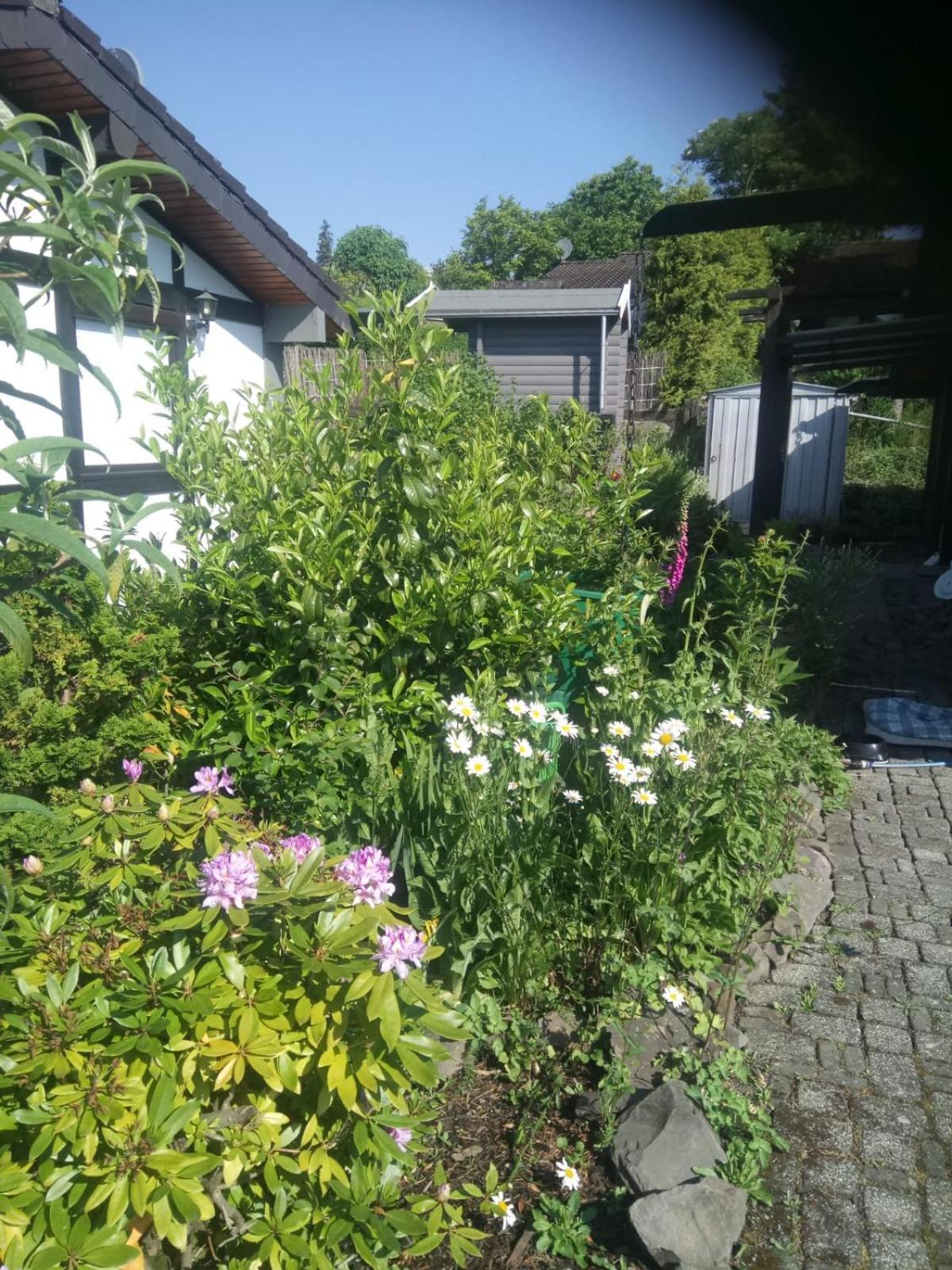 Haus Am Listersee Meinerzhagen Exteriör bild