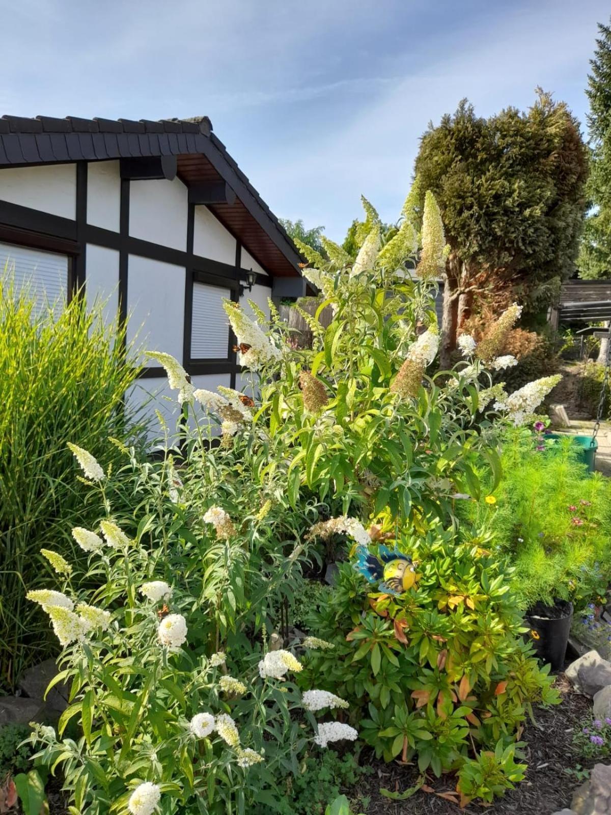 Haus Am Listersee Meinerzhagen Exteriör bild